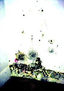 Health department offers FAQ on mold